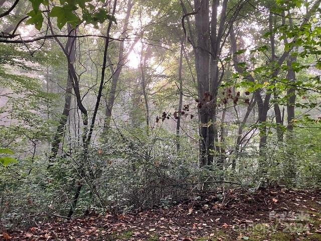 00 Wahwah Way #17 - Photo 8