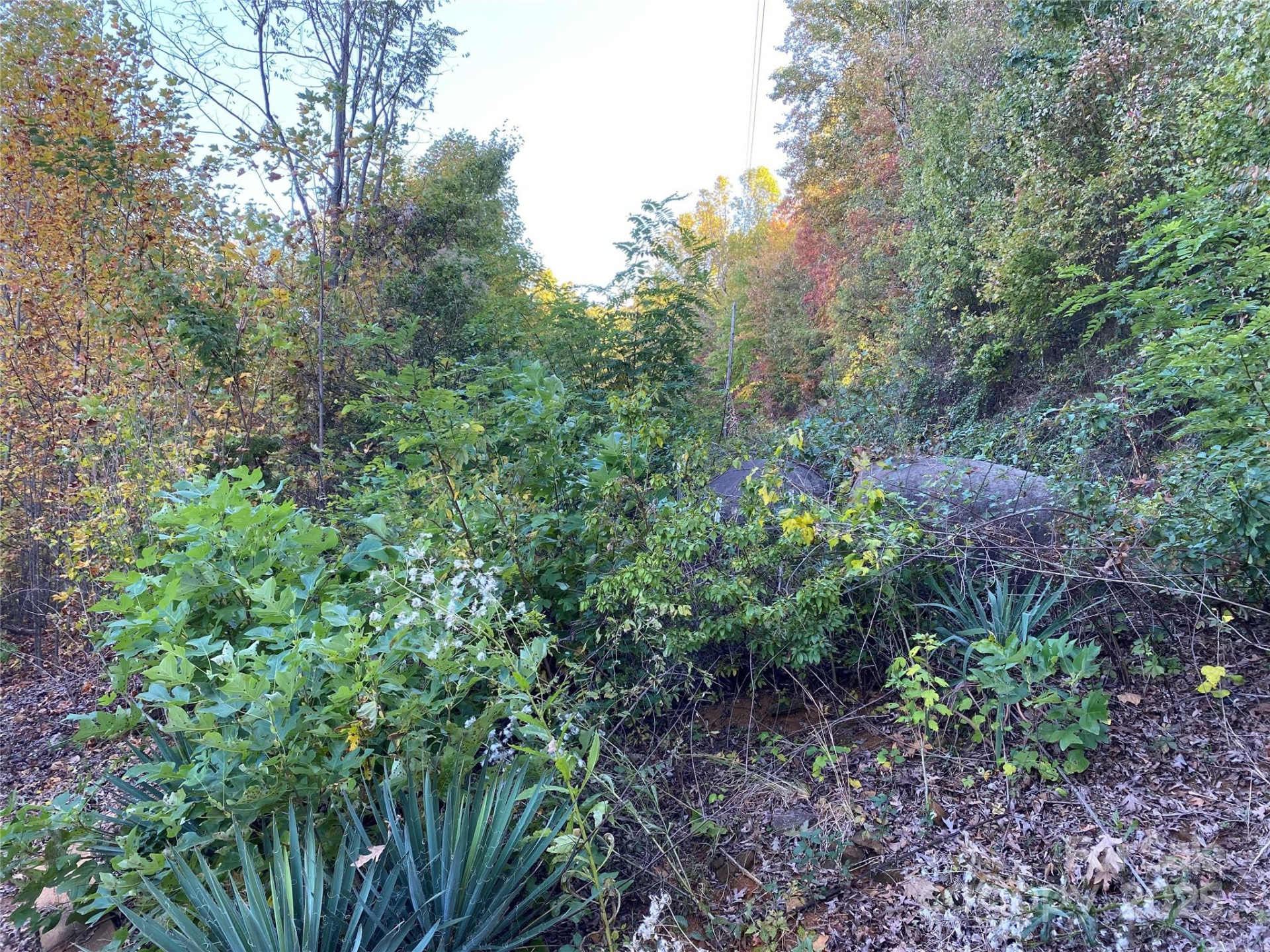 3642 Barus Pond Loop - Photo 11