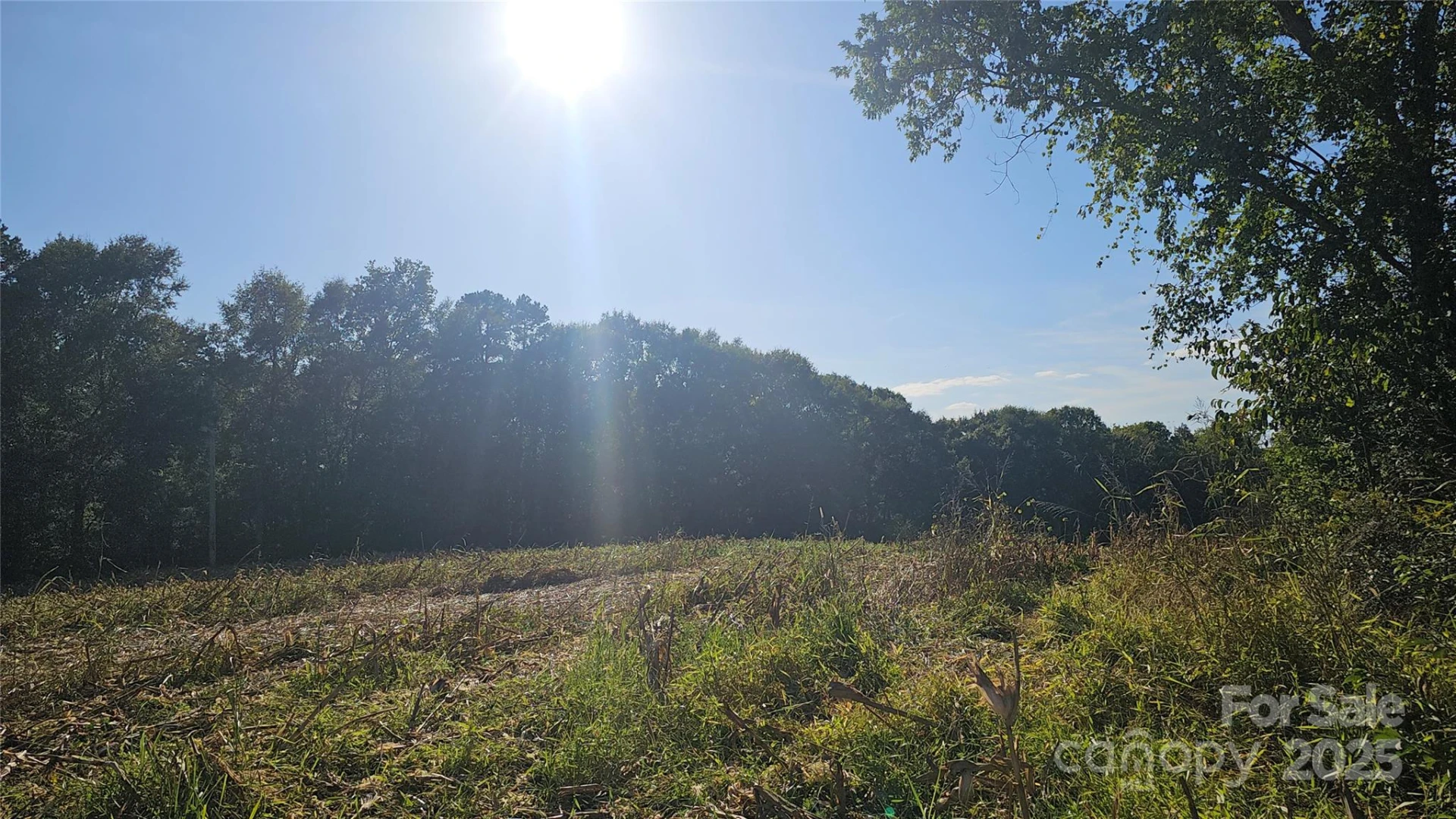 10130 Reed Mine Road - Photo 2