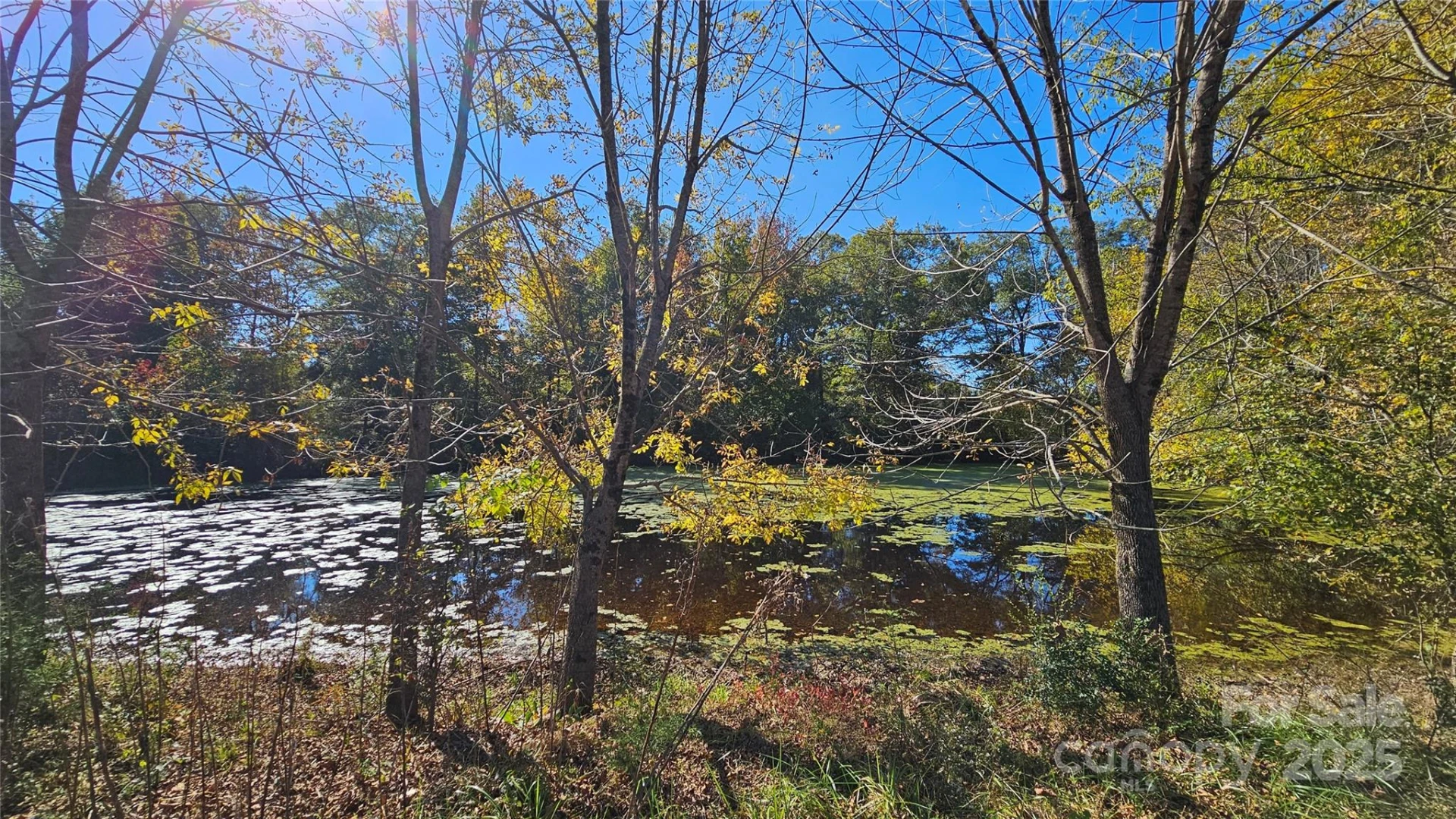 10130 Reed Mine Road - Photo 11