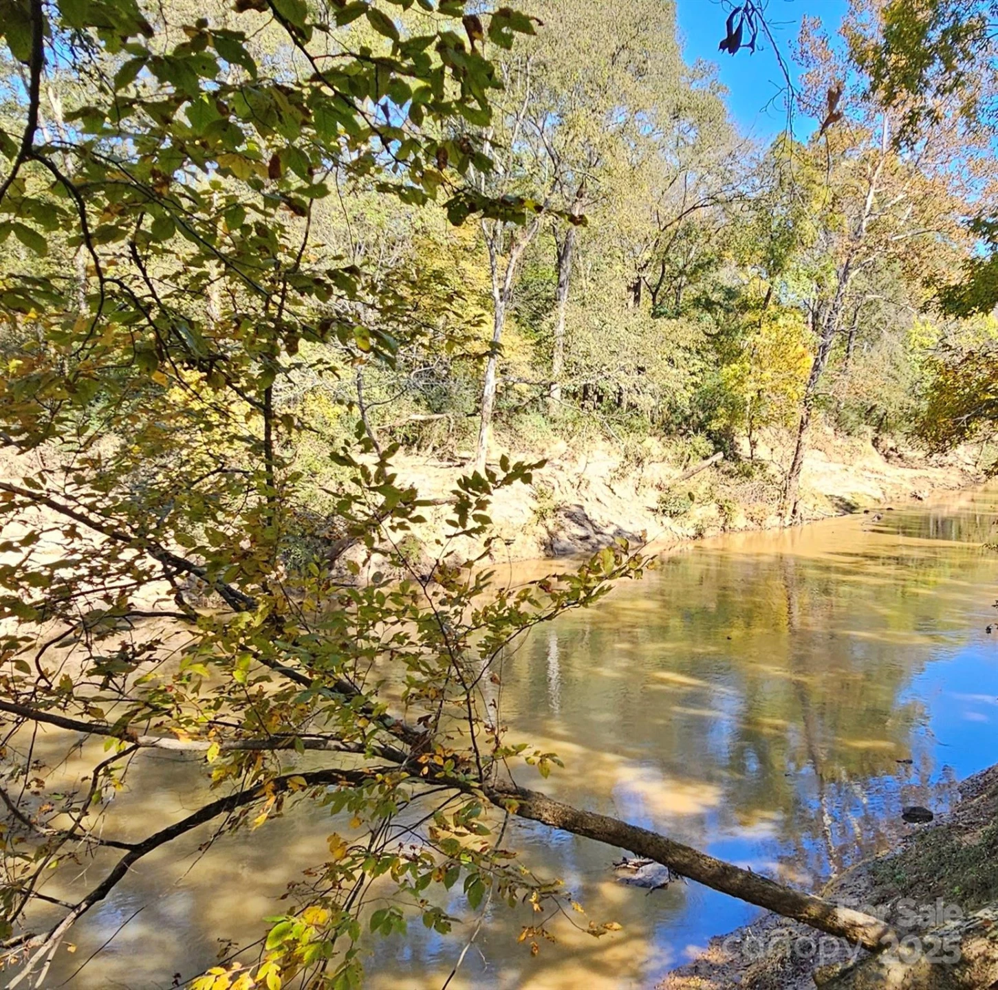 10130 Reed Mine Road - Photo 12
