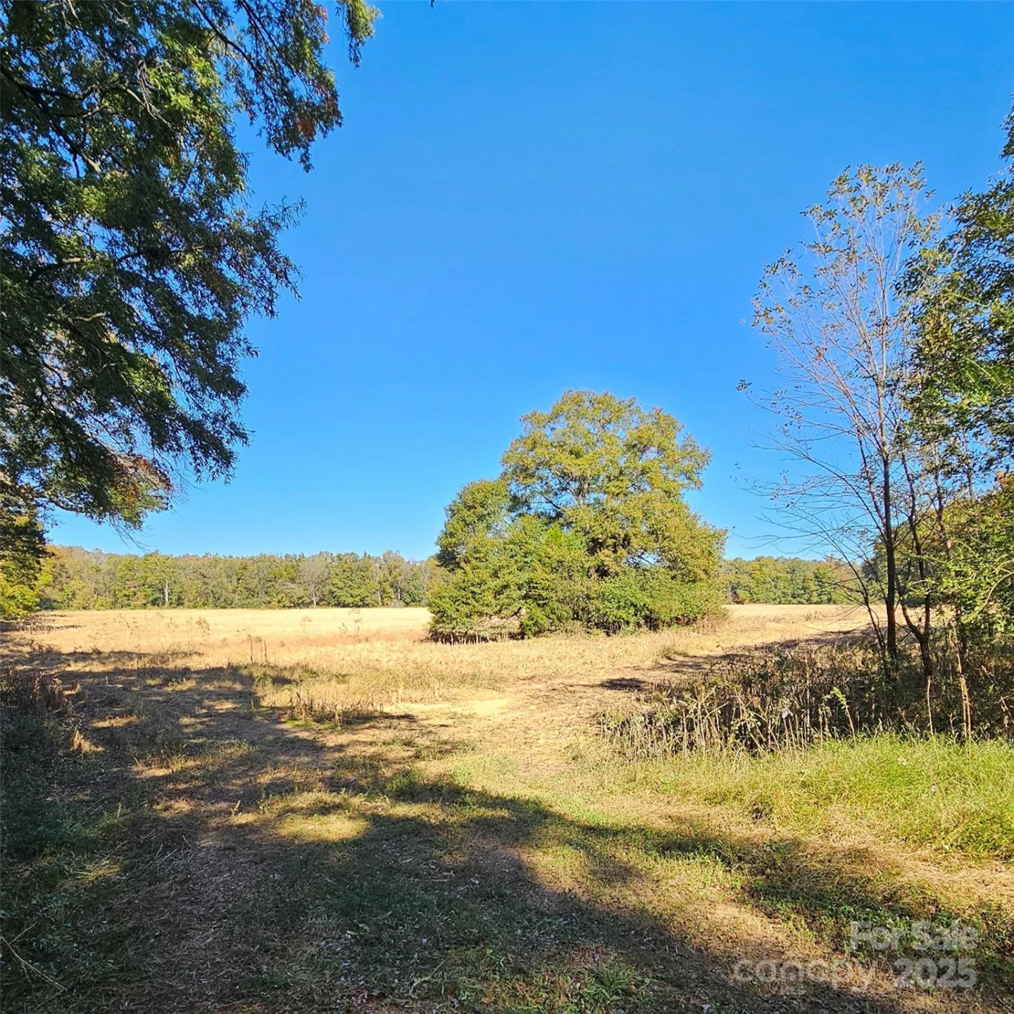 10130 Reed Mine Road - Photo 13