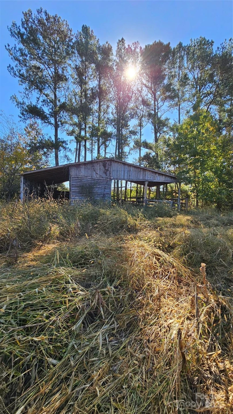 10130 Reed Mine Road - Photo 14