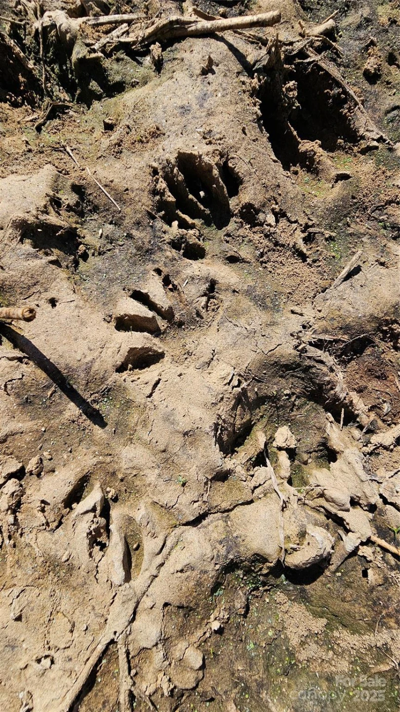 10130 Reed Mine Road - Photo 19