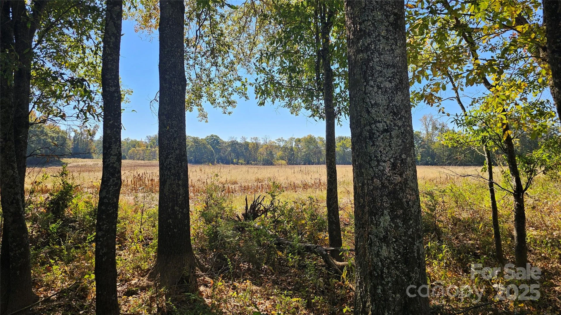 10130 Reed Mine Road - Photo 3