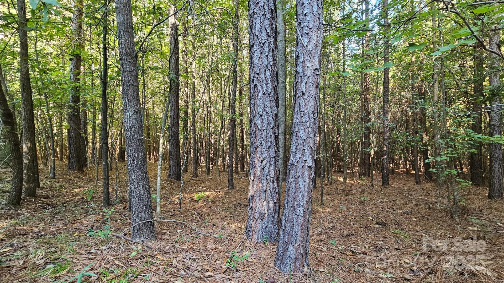10130 Reed Mine Road - Photo 22