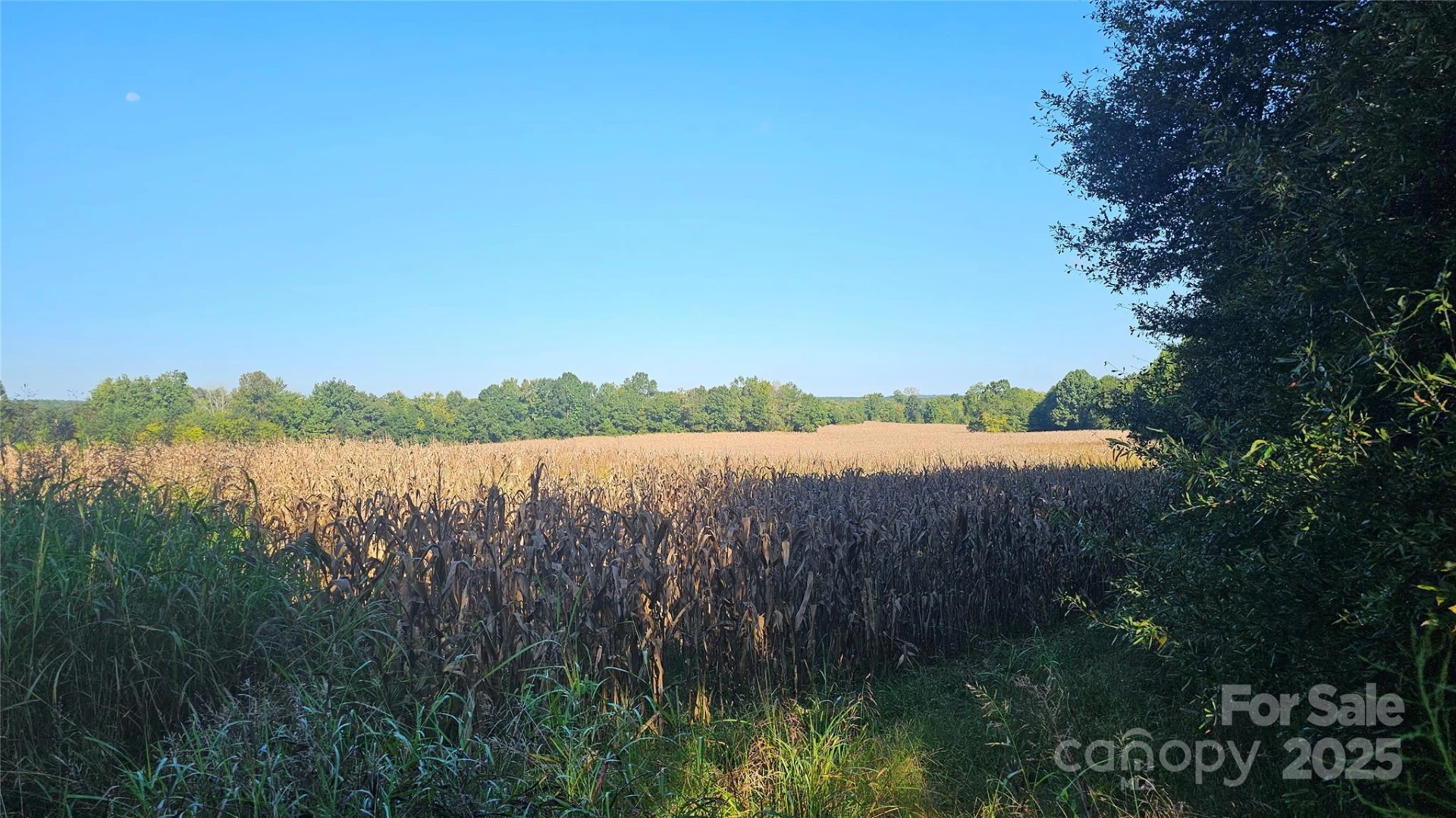 10130 Reed Mine Road - Photo 23
