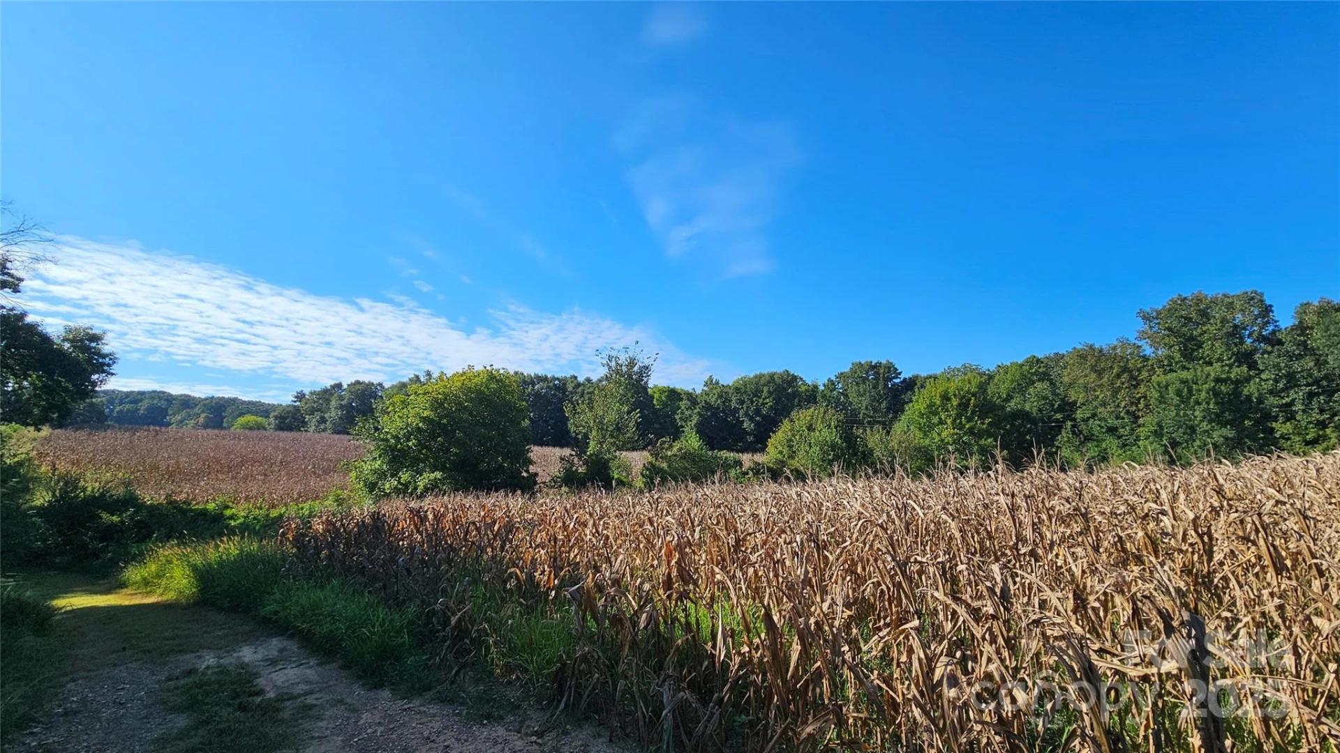 10130 Reed Mine Road - Photo 24
