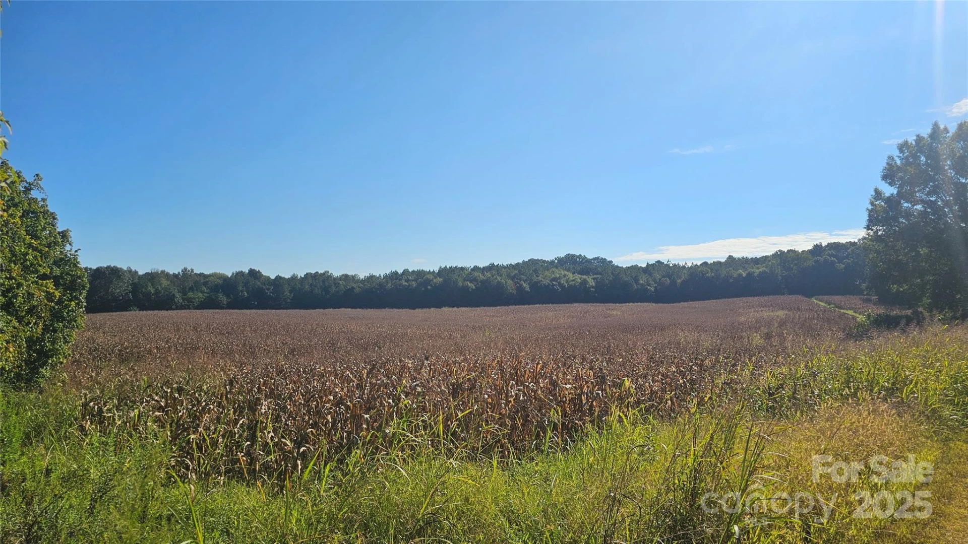 10130 Reed Mine Road - Photo 25