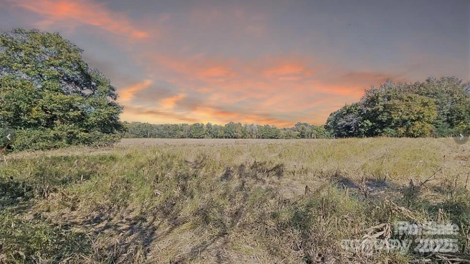 10130 Reed Mine Road - Photo 26