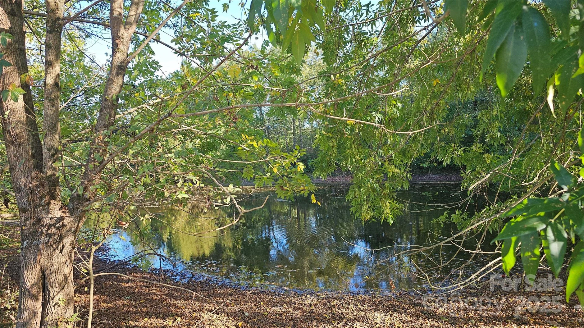 10130 Reed Mine Road - Photo 27