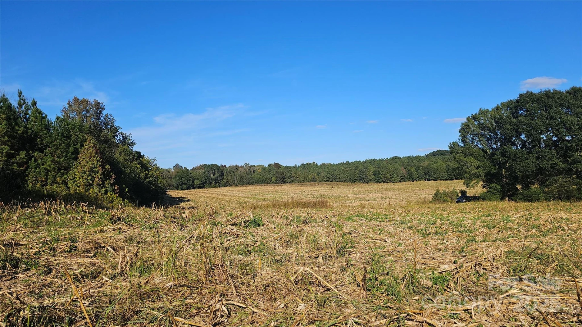10130 Reed Mine Road - Photo 28