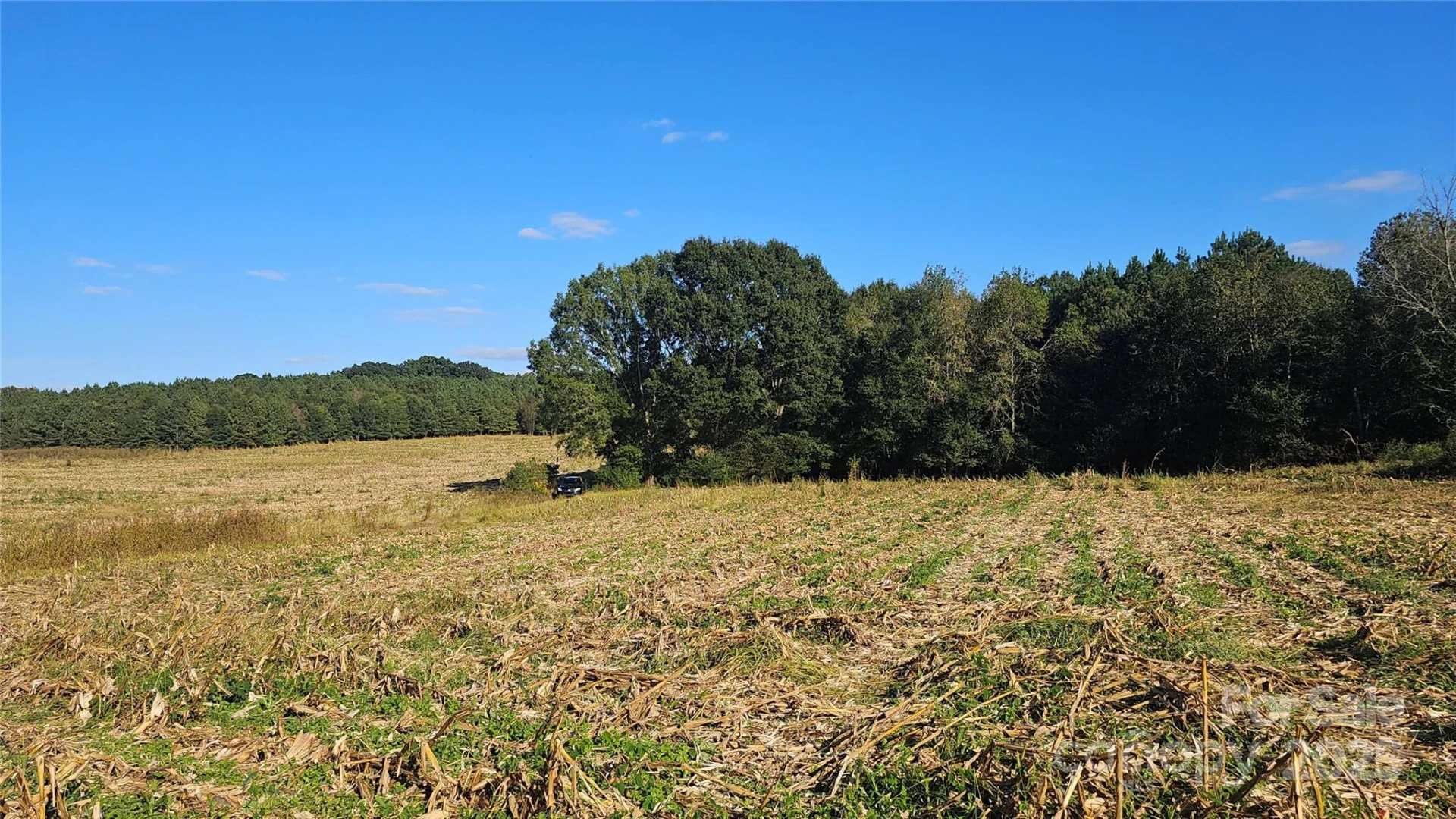 10130 Reed Mine Road - Photo 29