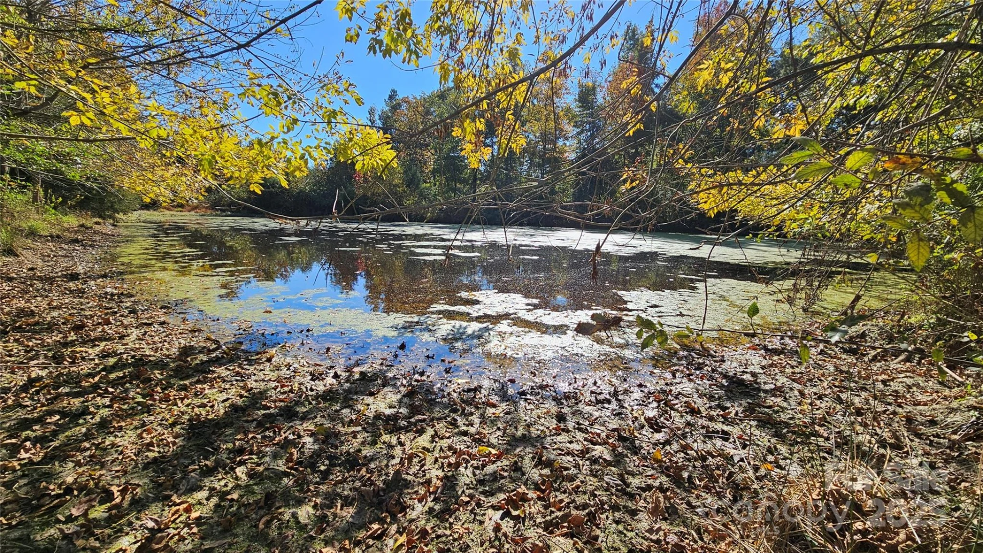 10130 Reed Mine Road - Photo 4