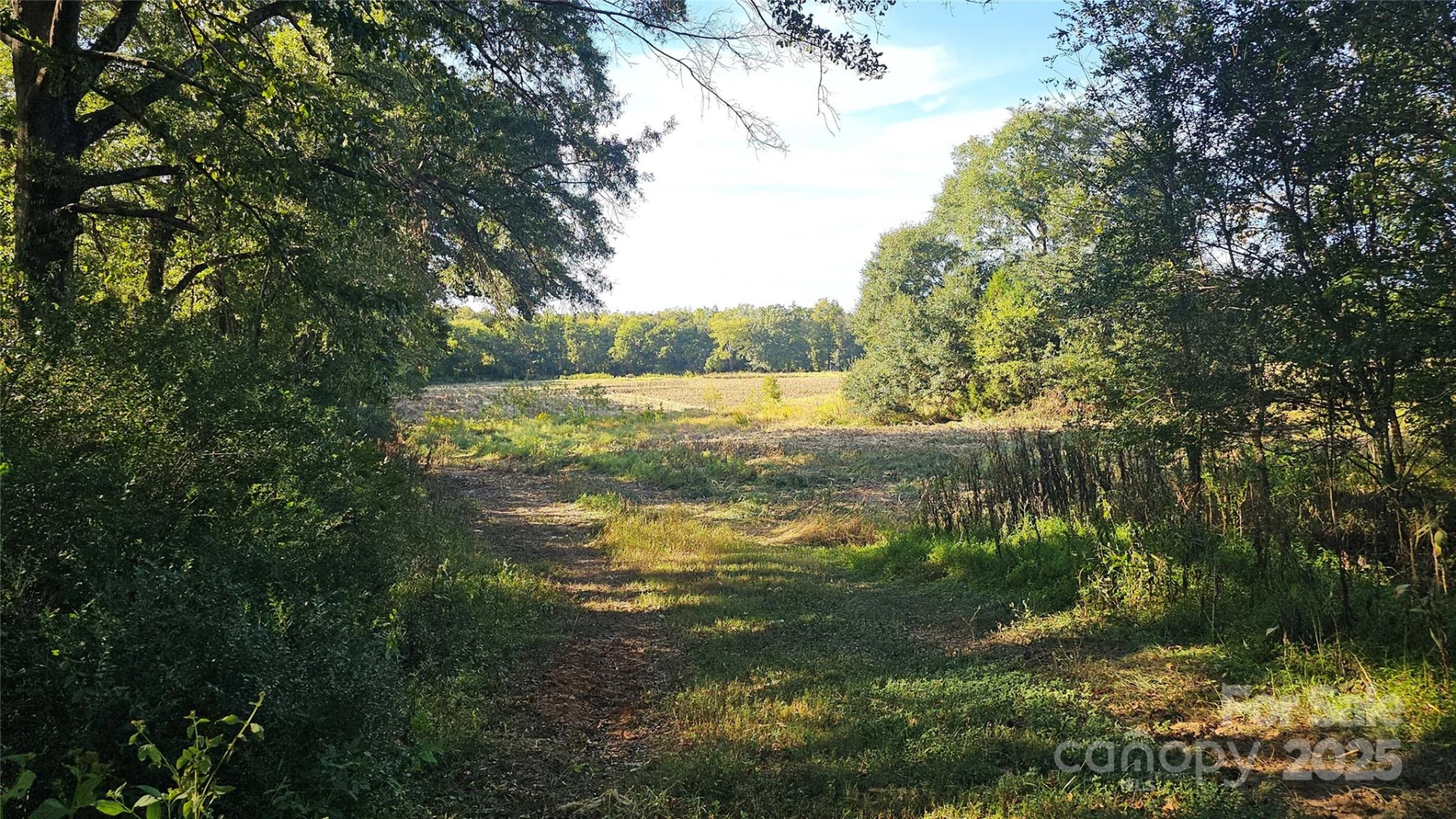 10130 Reed Mine Road - Photo 5