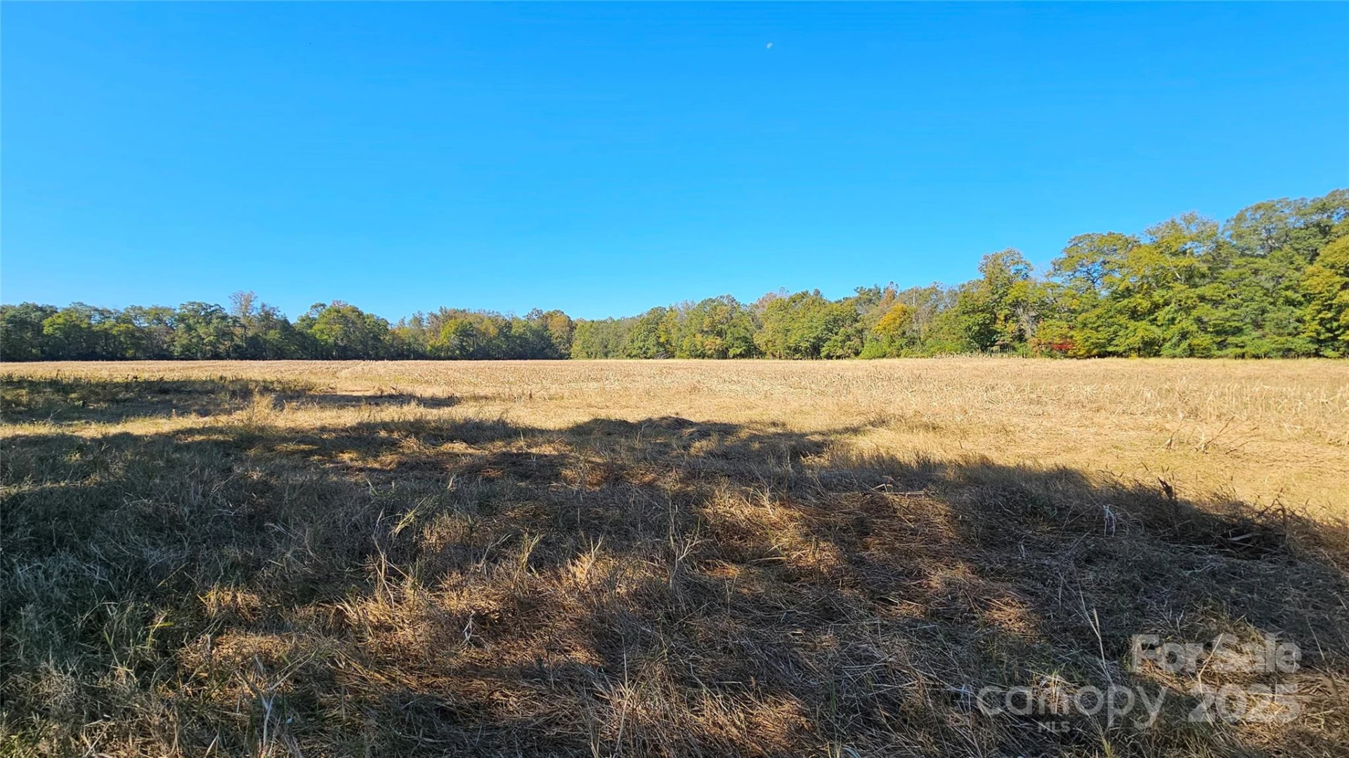 10130 Reed Mine Road - Photo 6