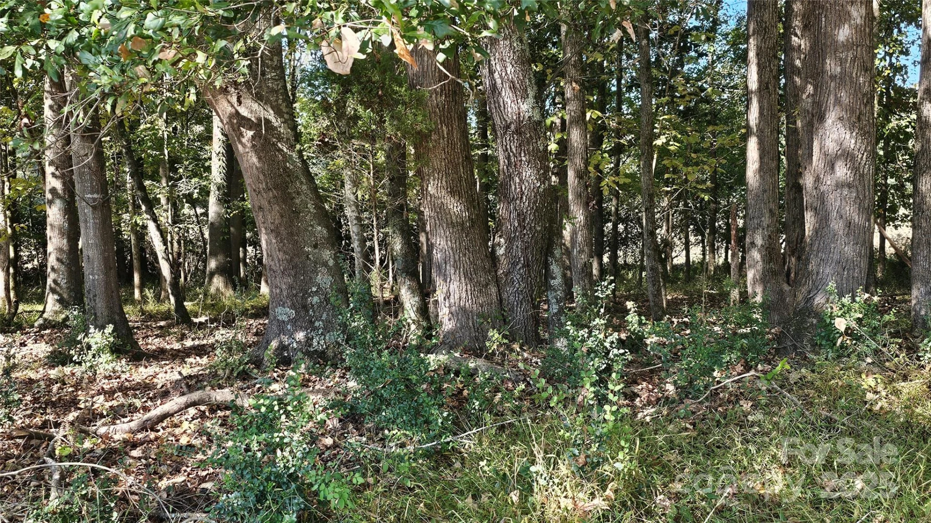 10130 Reed Mine Road - Photo 7