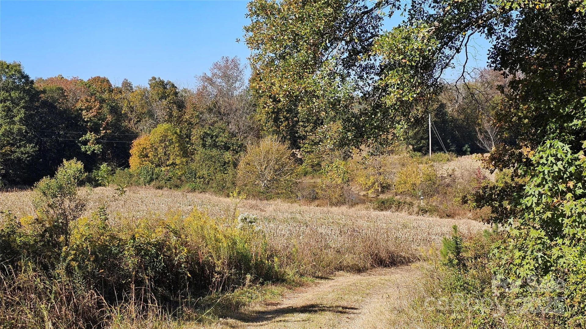 10130 Reed Mine Road - Photo 8