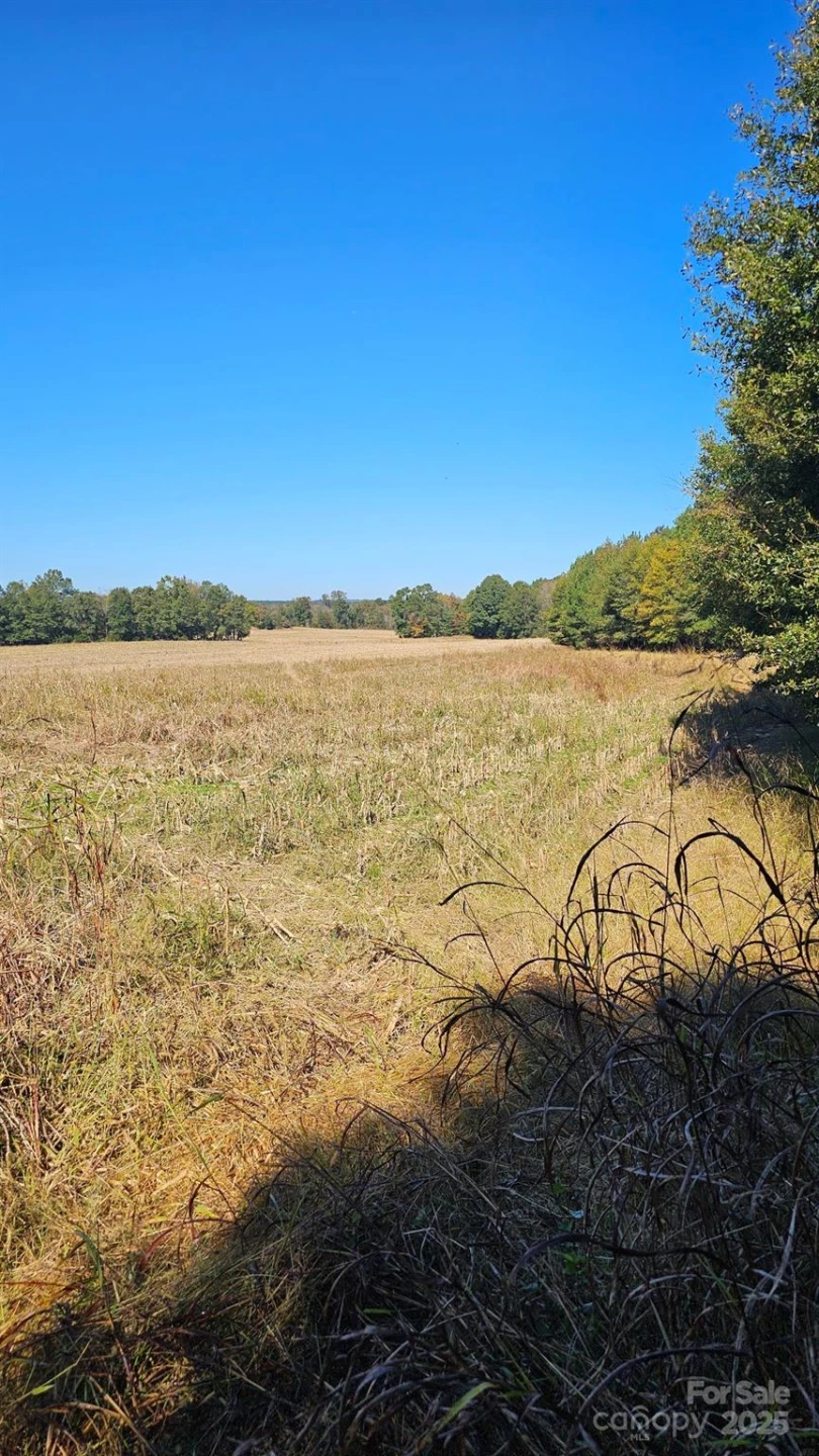 10130 Reed Mine Road - Photo 9