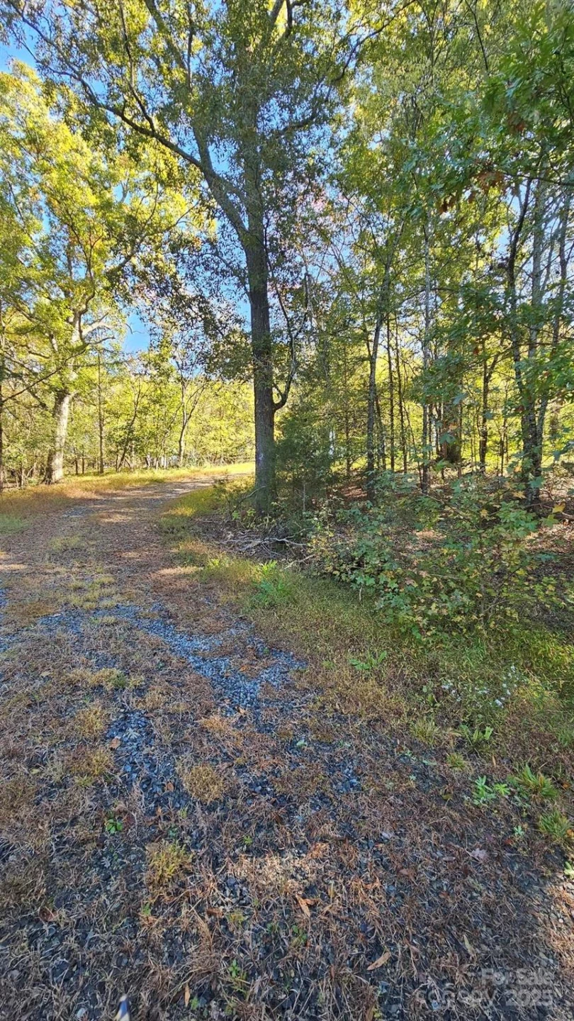 10130 Reed Mine Road - Photo 10