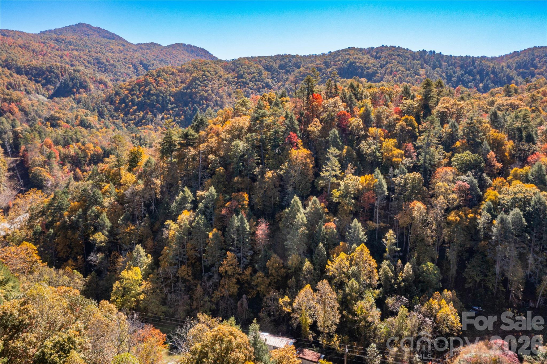 1896 Firefly Trail - Photo 5