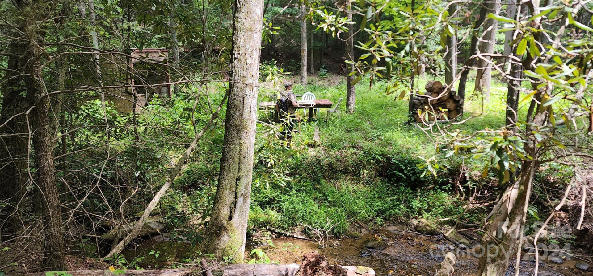 46.6 Acres Regan Jackson Road - Photo 13