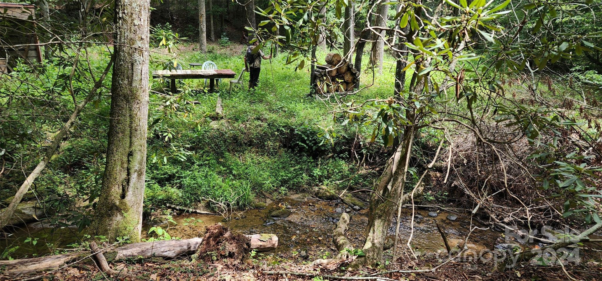 46.6 Acres Regan Jackson Road - Photo 14