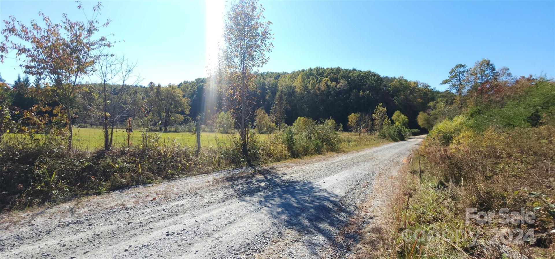 46.6 Acres Regan Jackson Road - Photo 16