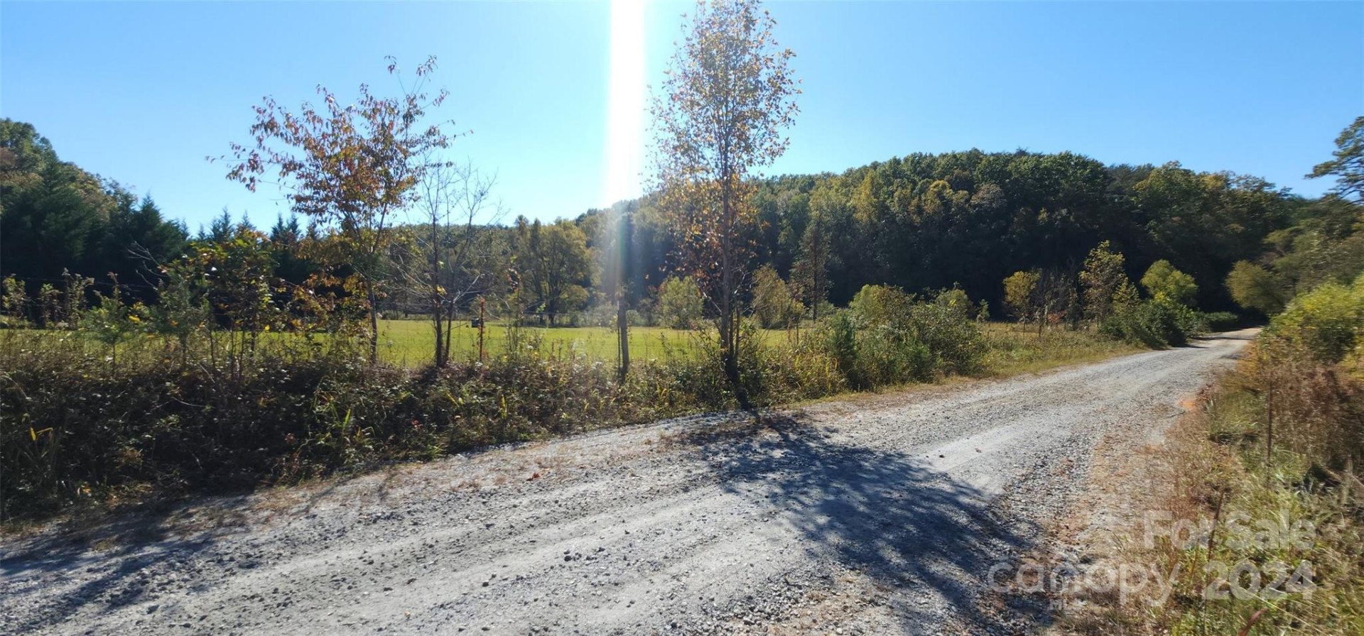 46.6 Acres Regan Jackson Road - Photo 17