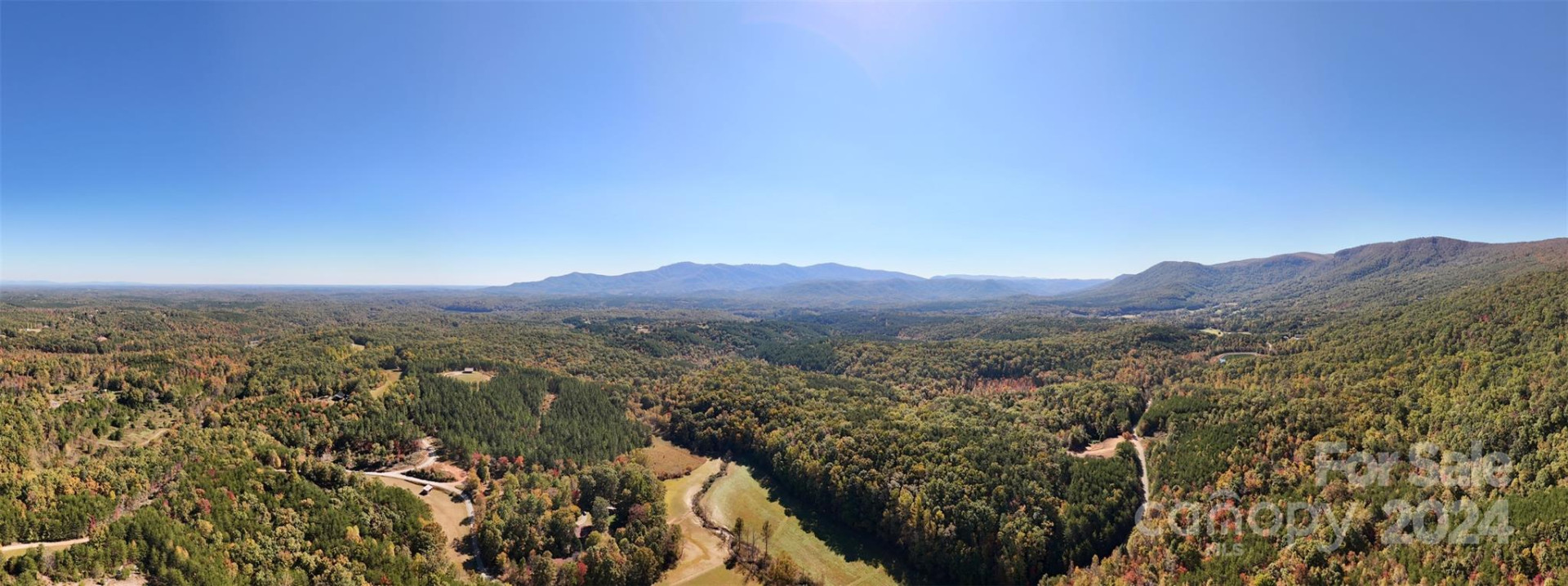 46.6 Acres Regan Jackson Road - Photo 20