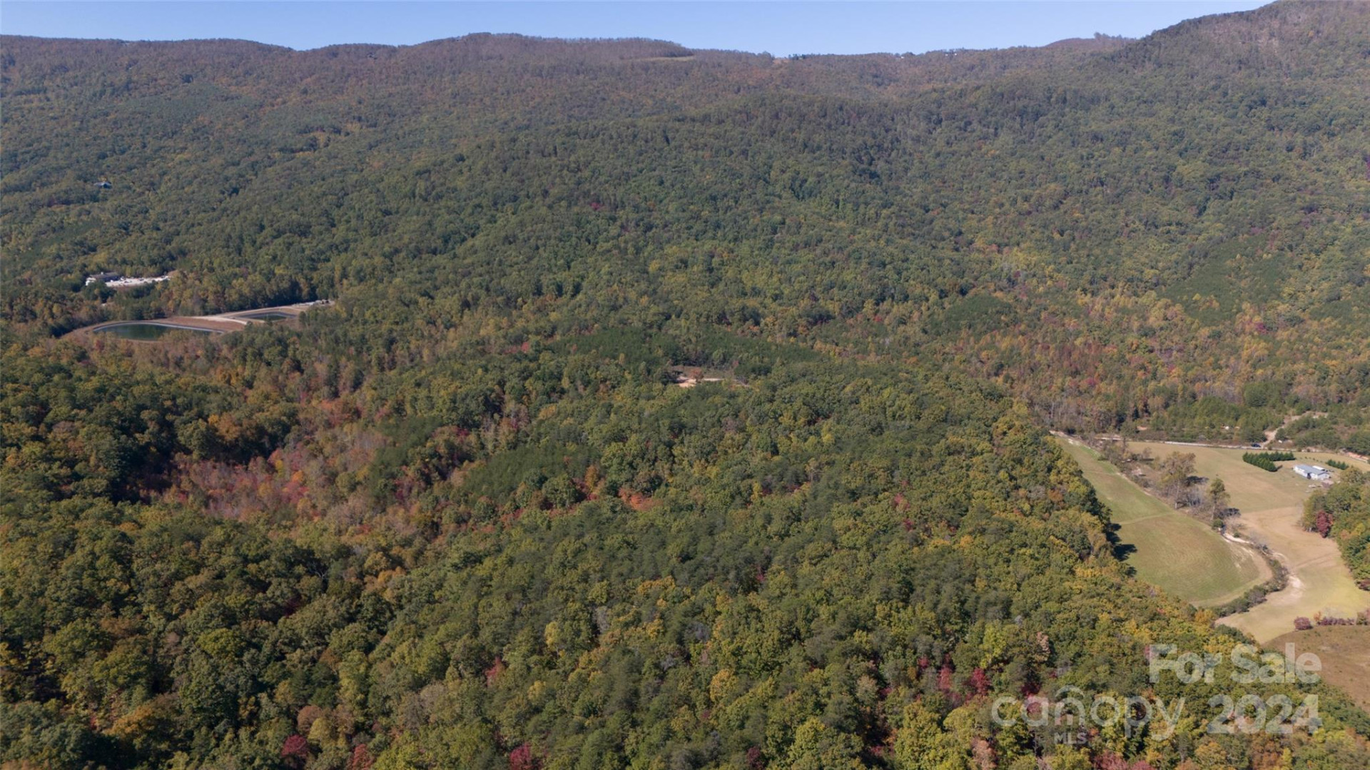 46.6 Acres Regan Jackson Road - Photo 22