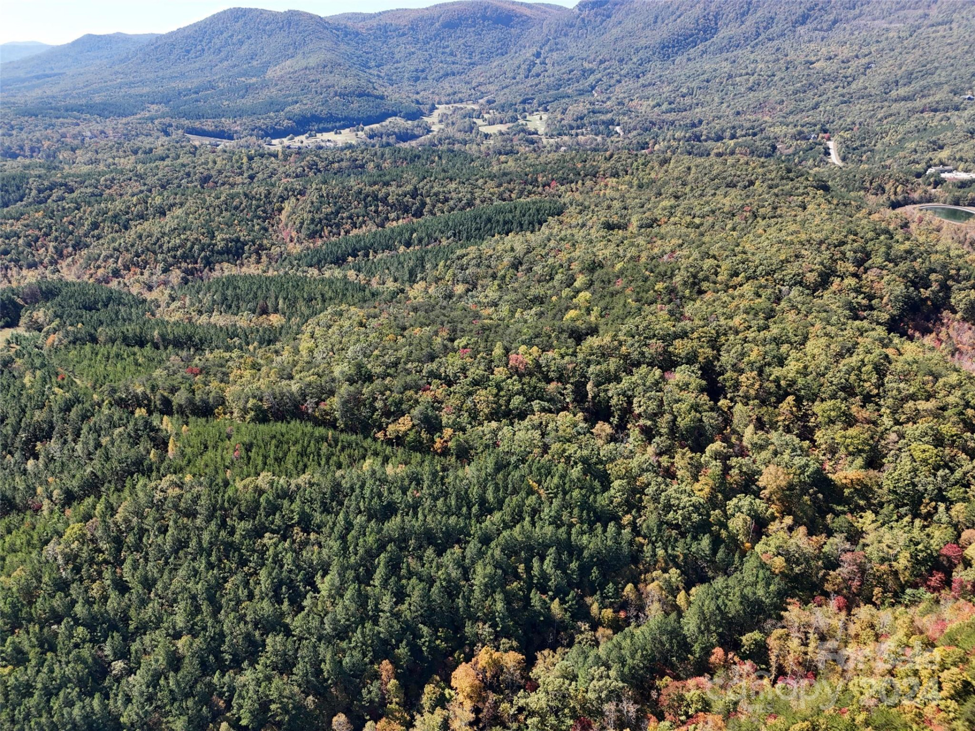 46.6 Acres Regan Jackson Road - Photo 24