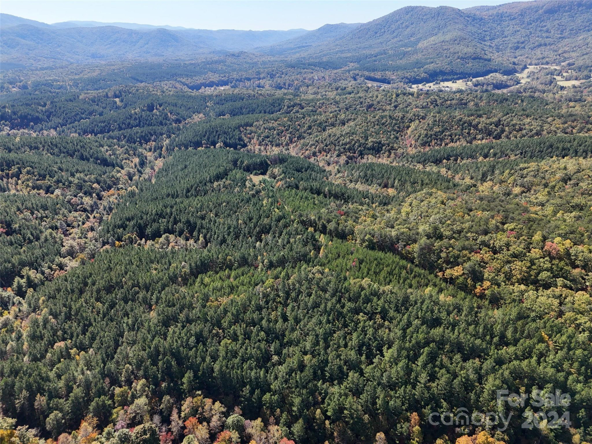 46.6 Acres Regan Jackson Road - Photo 25