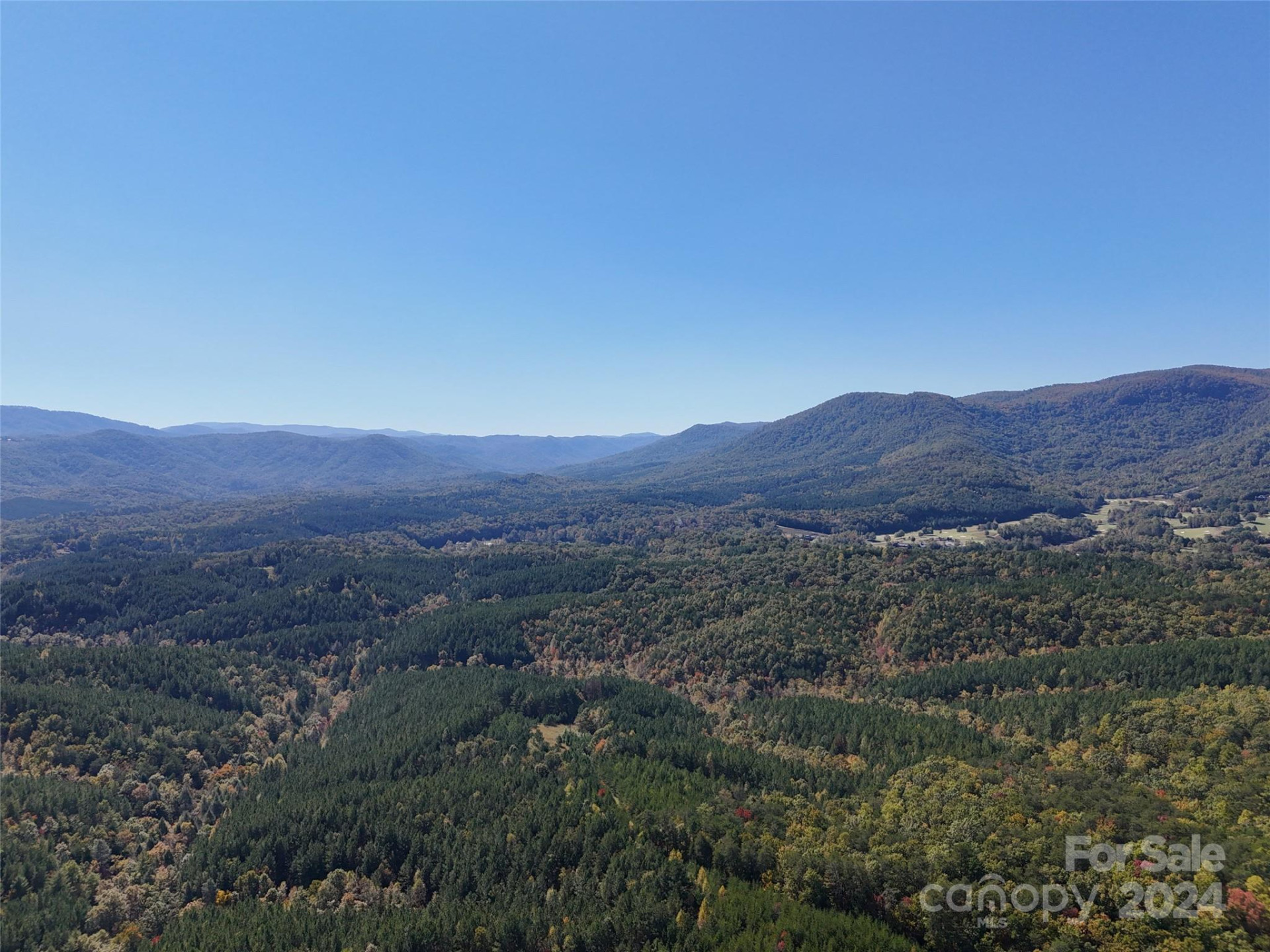 46.6 Acres Regan Jackson Road - Photo 26