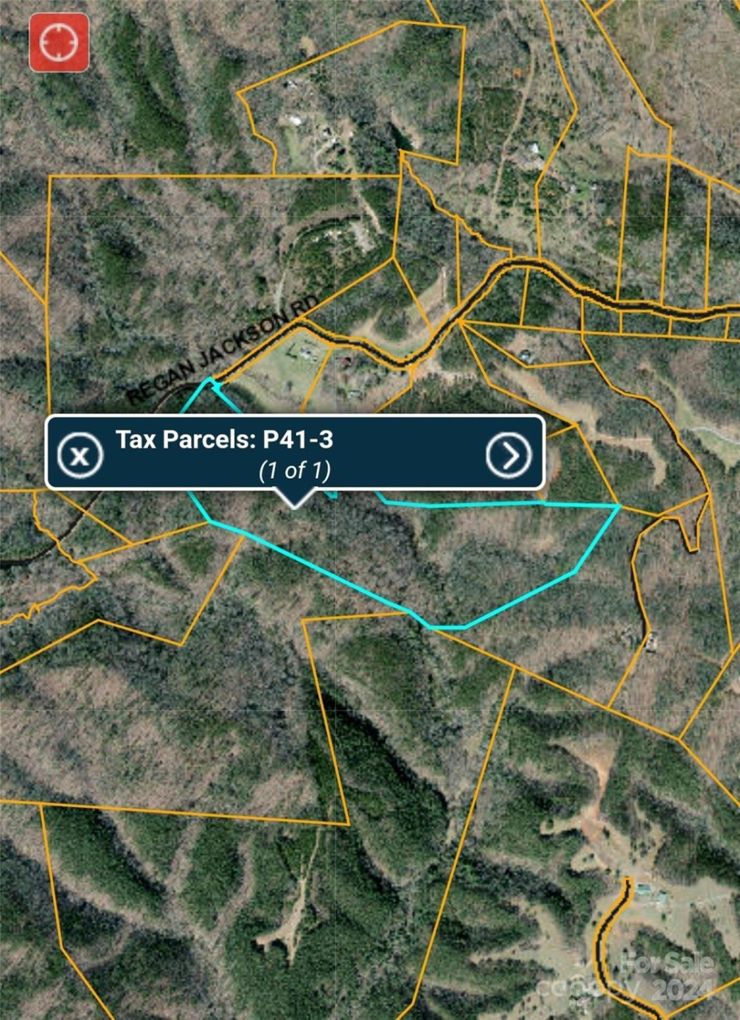 46.6 Acres Regan Jackson Road - Photo 28