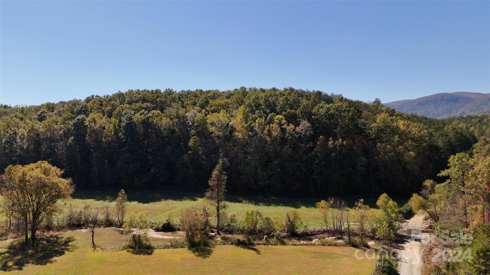 46.6 Acres Regan Jackson Road - Photo 8