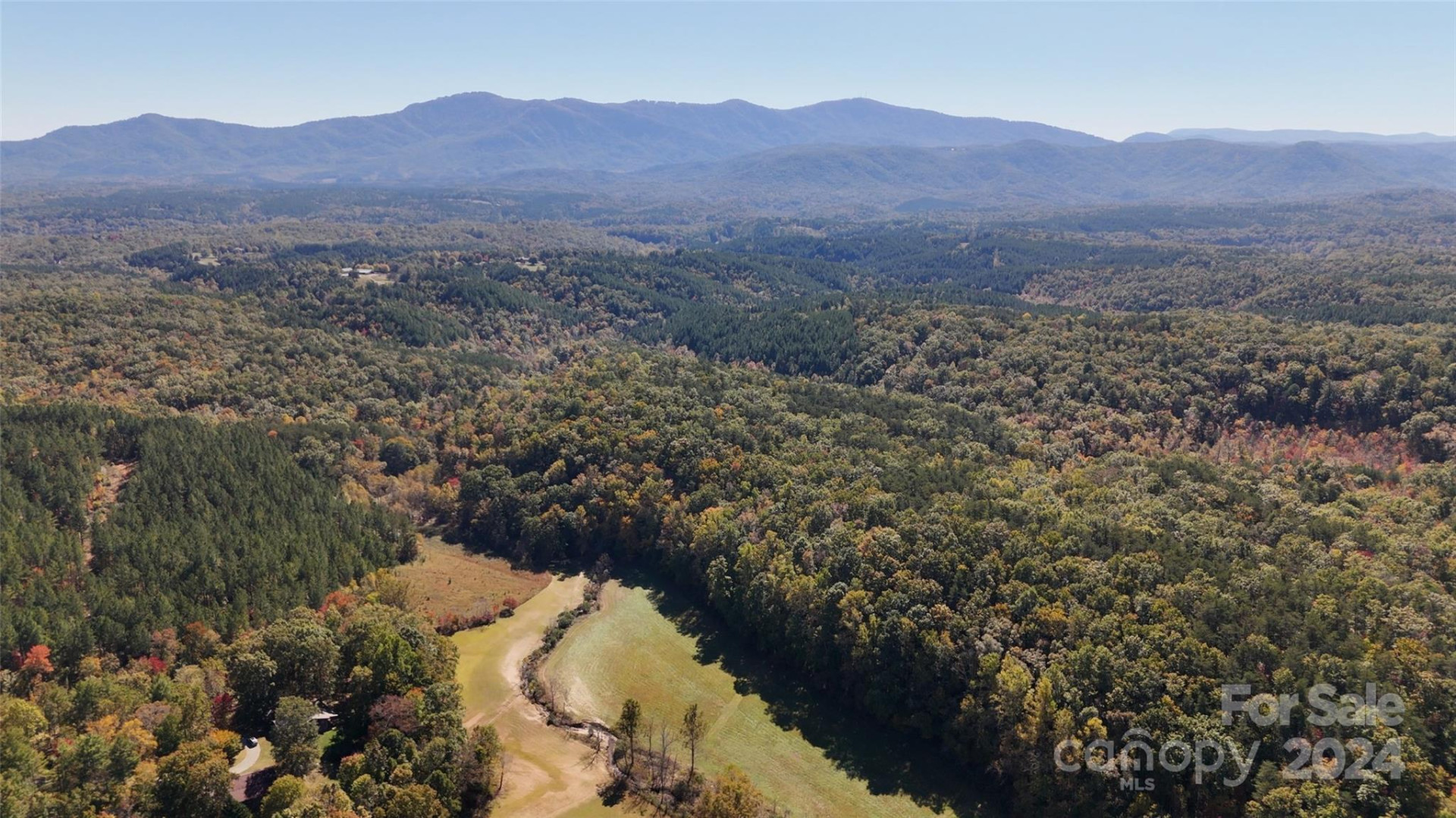 46.6 Acres Regan Jackson Road - Photo 9