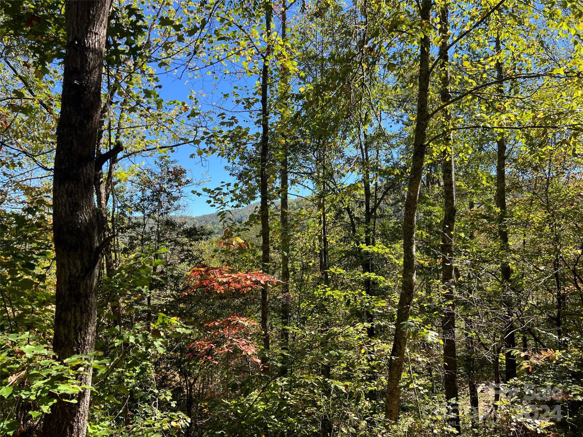 00 Tract B&C US Highway 441 None - Photo 3