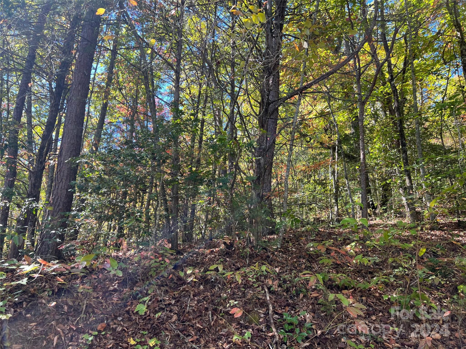 00 Tract B&C US Highway 441 None - Photo 4