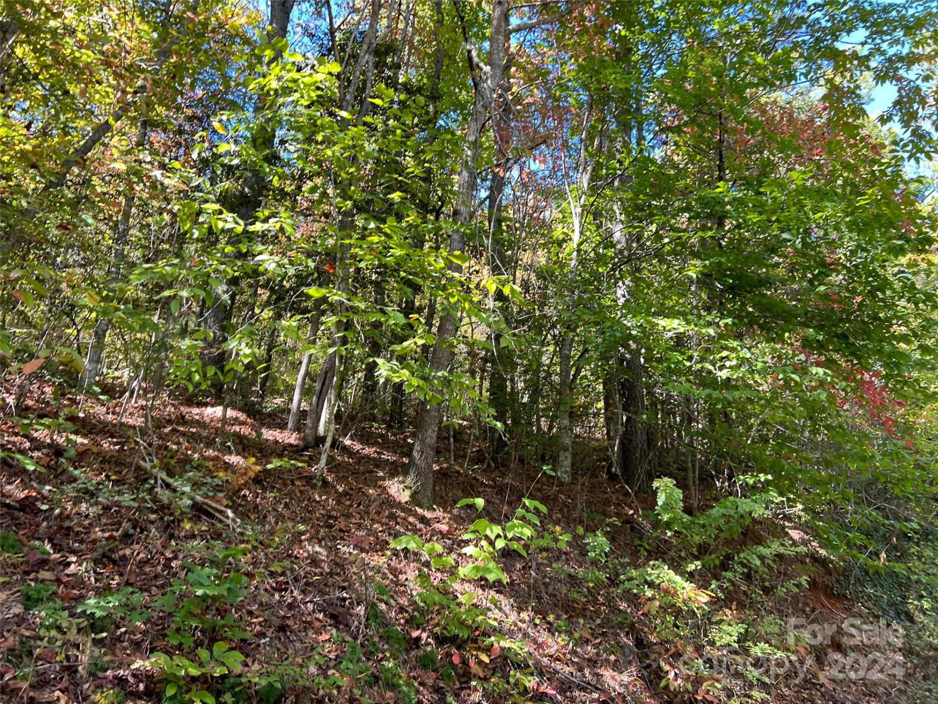 00 Tract B&C US Highway 441 None - Photo 5