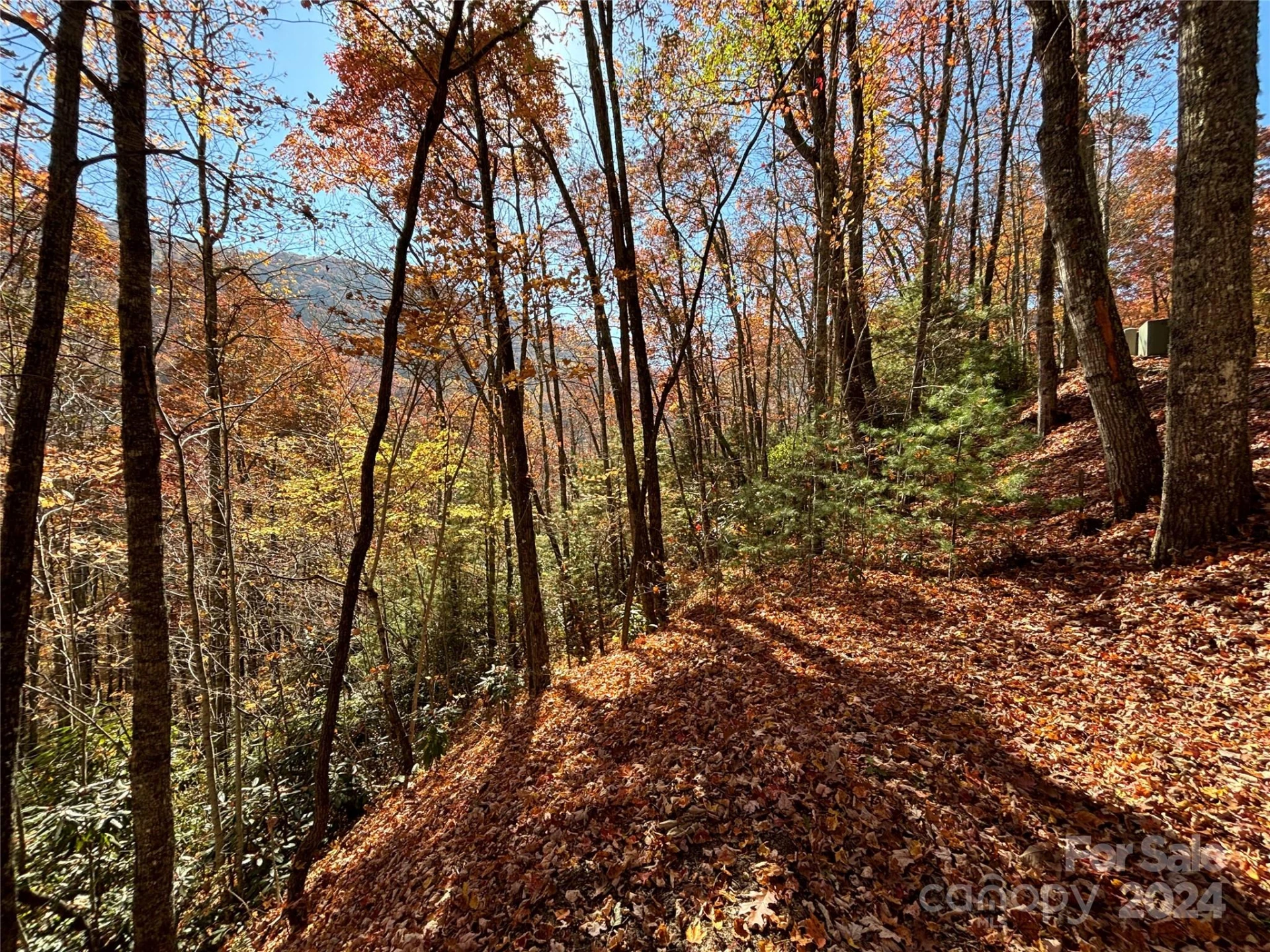Lot 33 Coppermine Ridge #33
