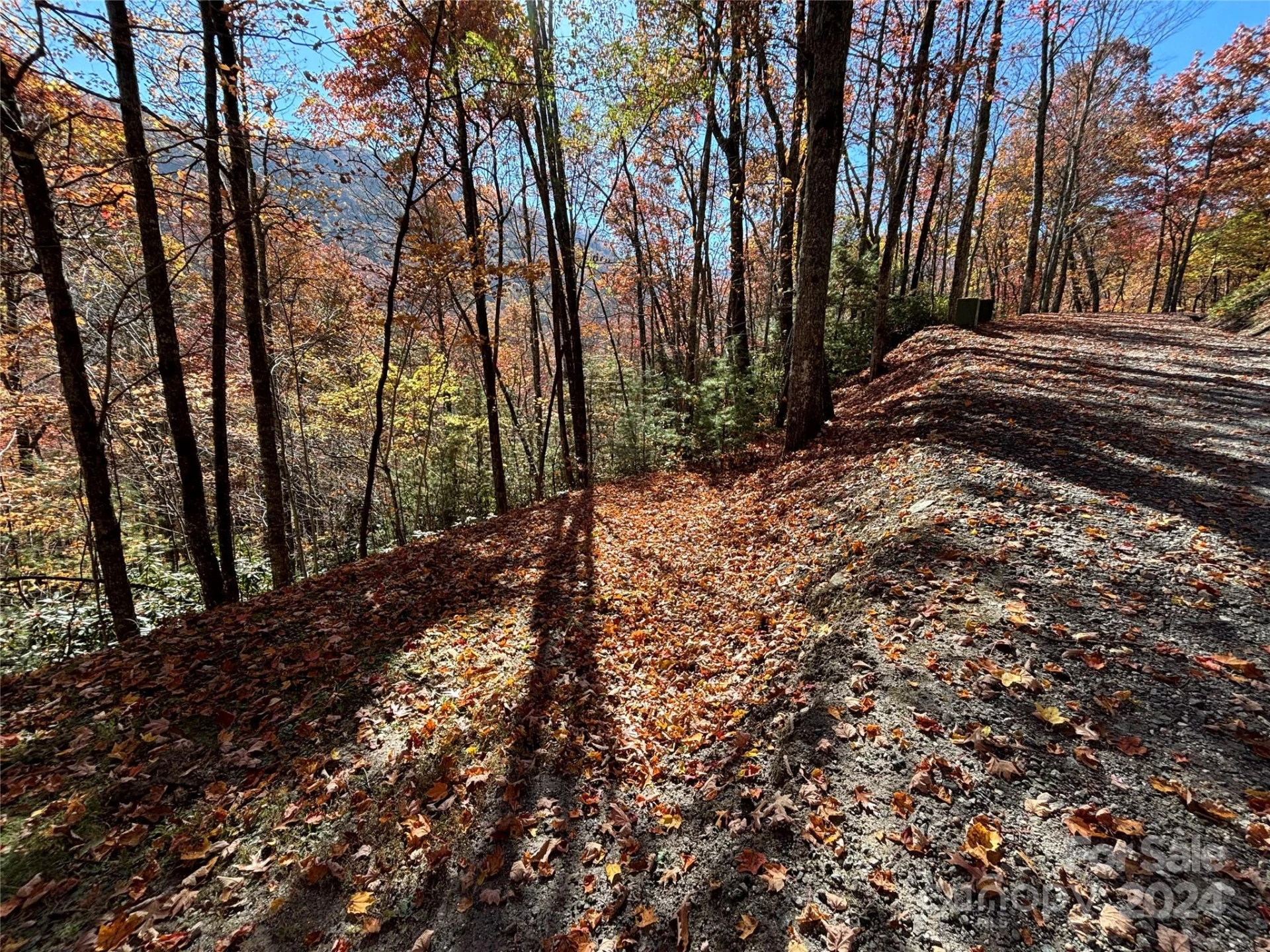 Lot 33 Coppermine Ridge #33 - Photo 2