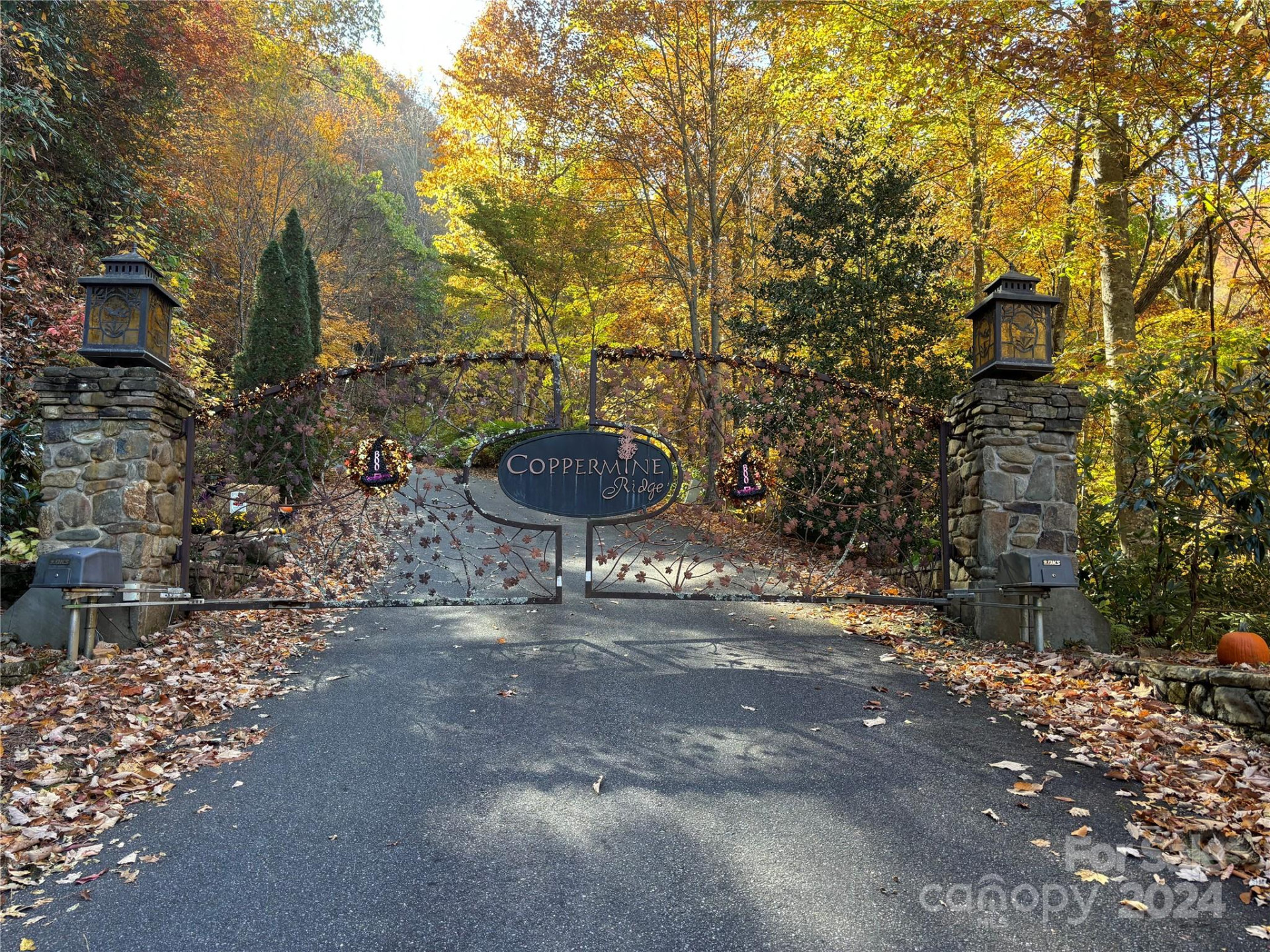 Lot 33 Coppermine Ridge #33 - Photo 11