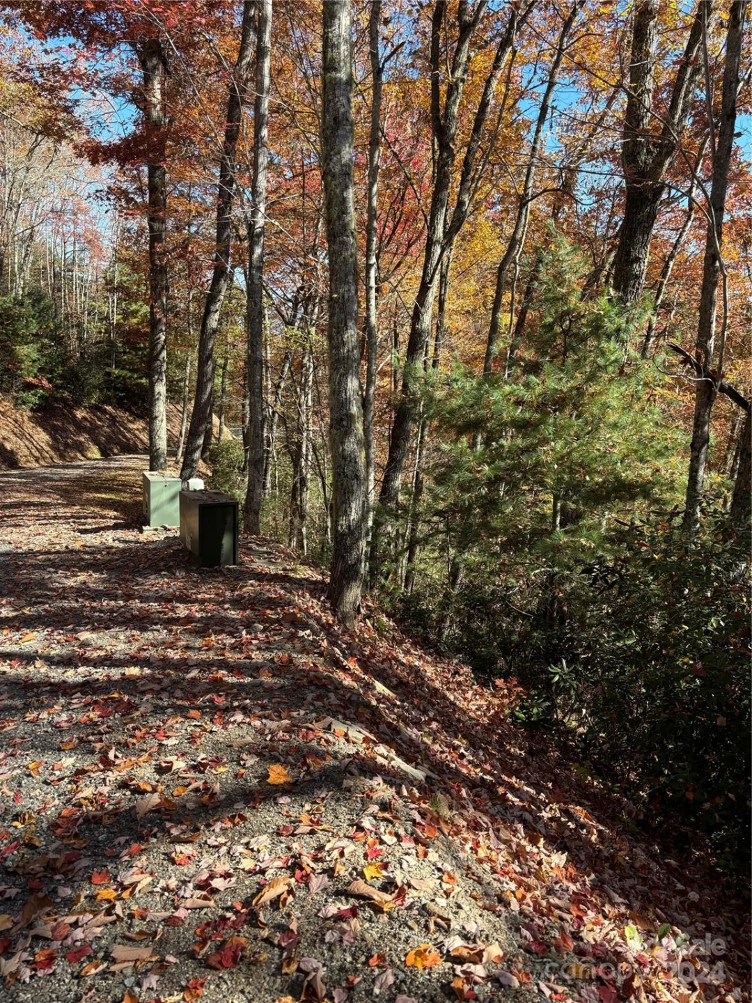 Lot 33 Coppermine Ridge #33 - Photo 12