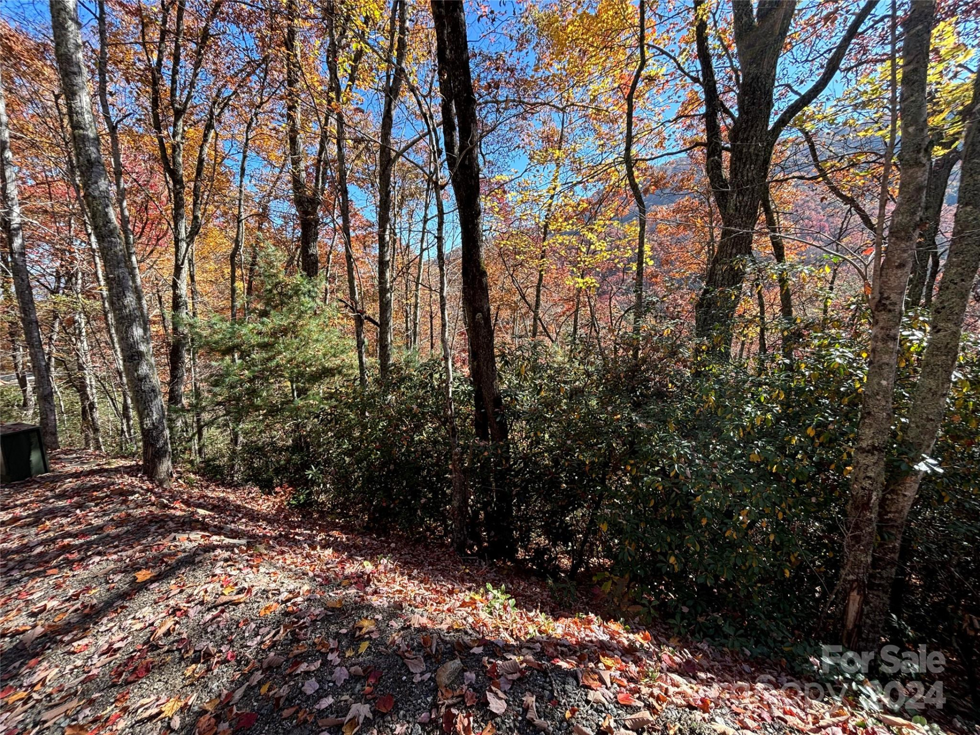 Lot 33 Coppermine Ridge #33 - Photo 13