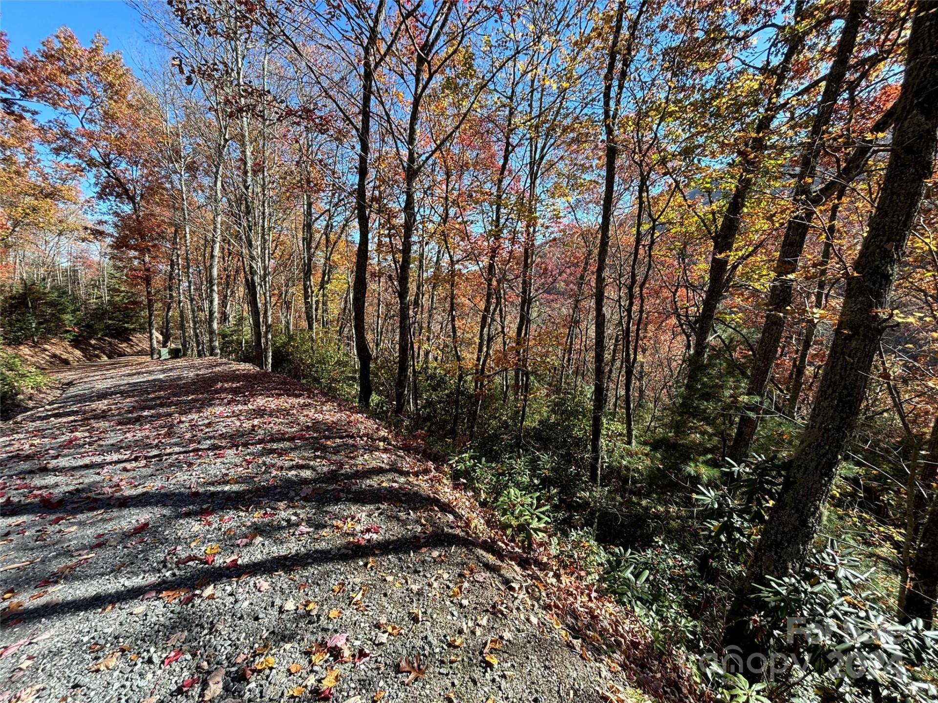 Lot 33 Coppermine Ridge #33 - Photo 14