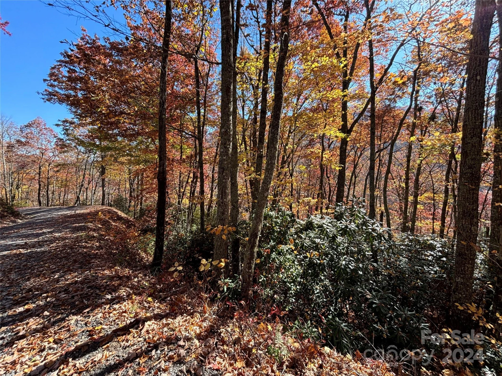 Lot 33 Coppermine Ridge #33 - Photo 15