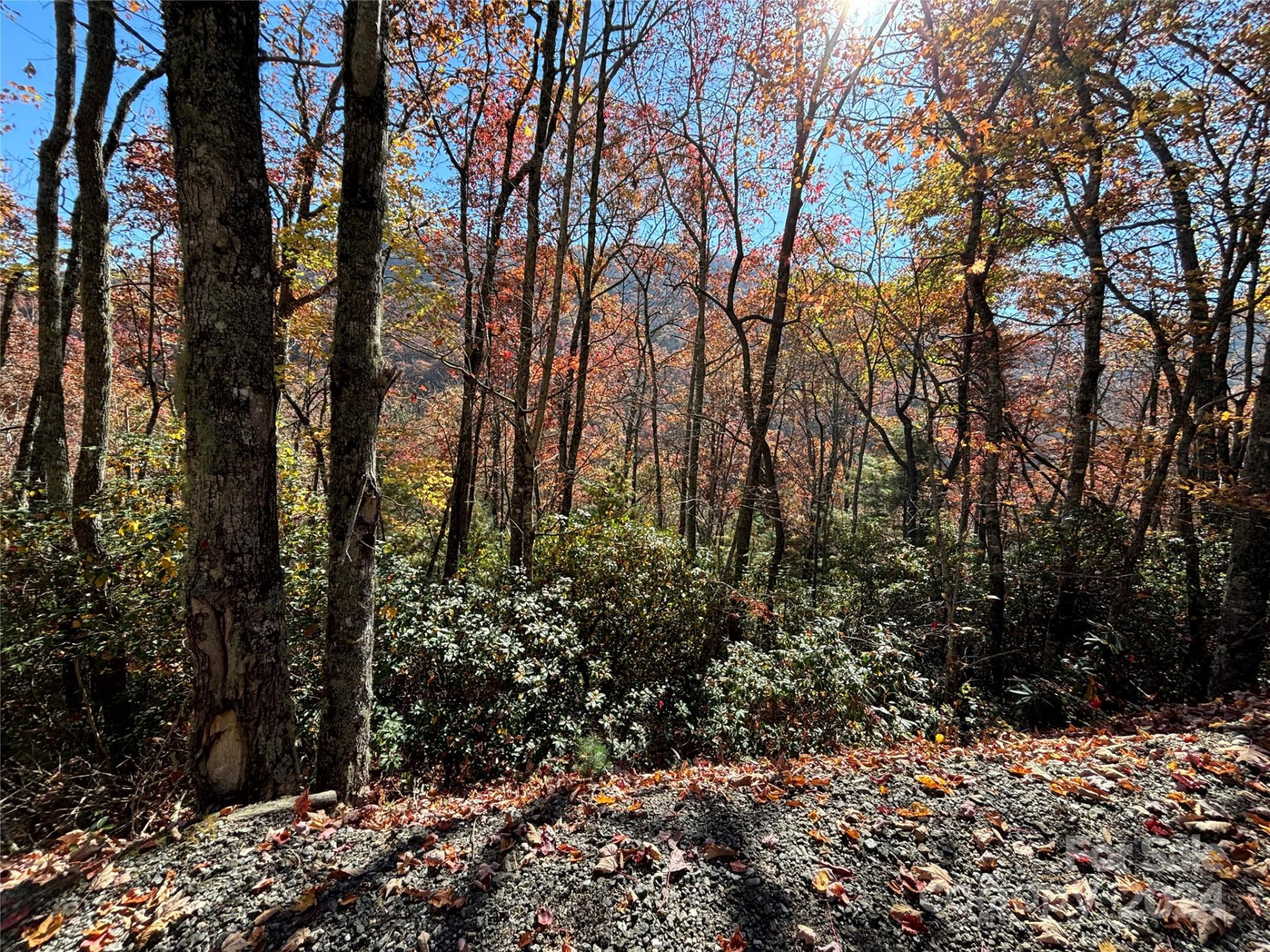 Lot 33 Coppermine Ridge #33 - Photo 3