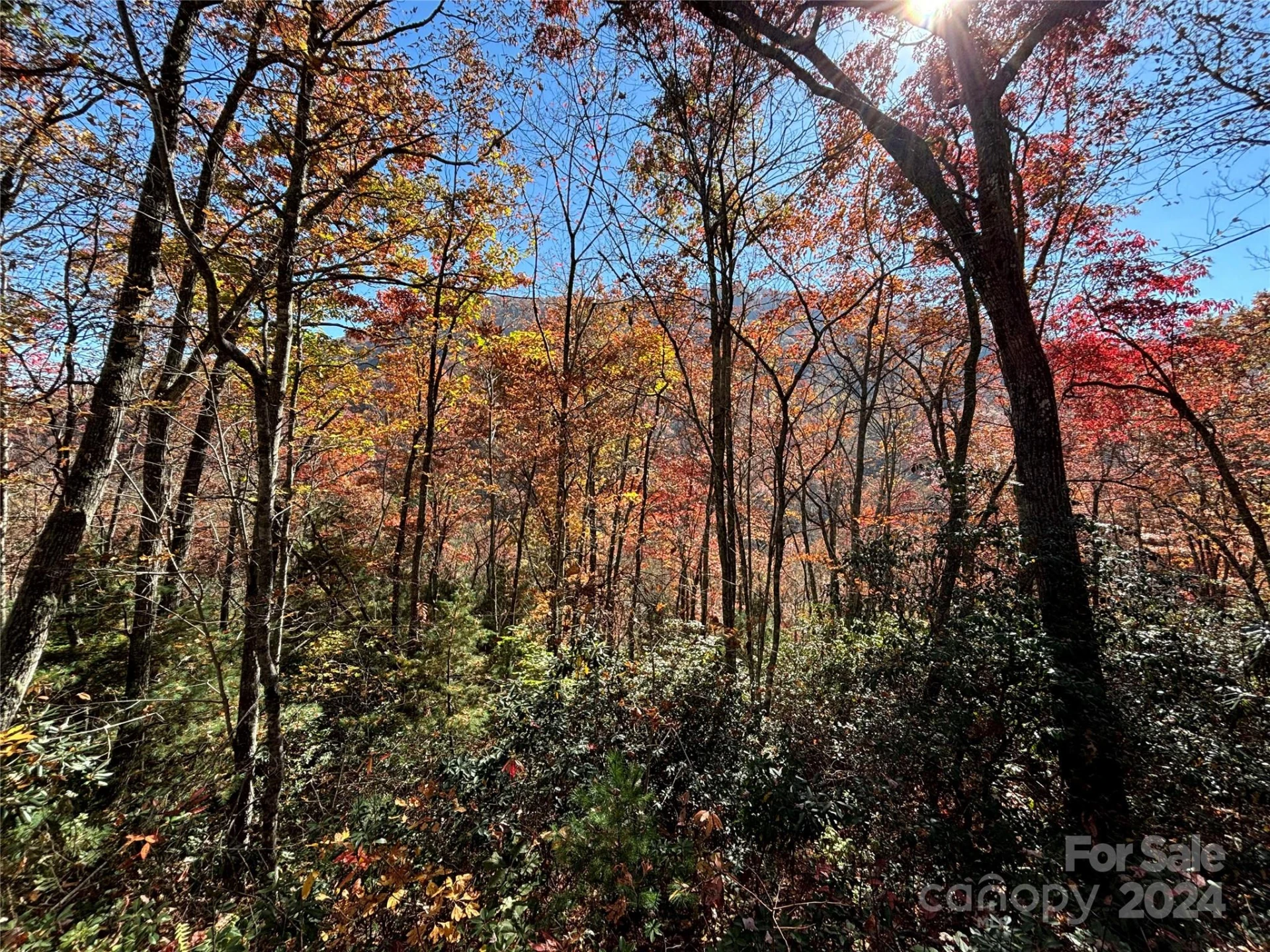 Lot 33 Coppermine Ridge #33 - Photo 4