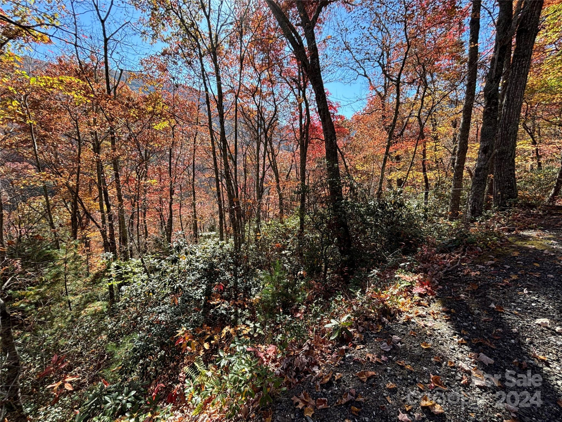 Lot 33 Coppermine Ridge #33 - Photo 5